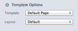 Template Options Panel