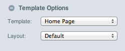 Template Options